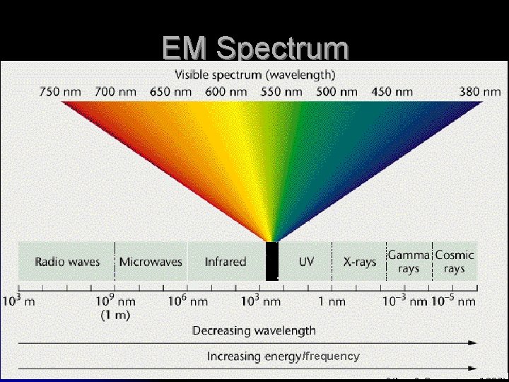 What holds an atom together Fundamental Forces in