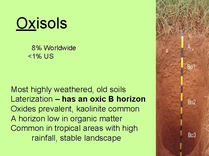 Oxisols 8% Worldwide <1% US Most highly weathered, old soils Laterization – has an