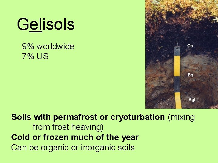 Gelisols 9% worldwide 7% US Soils with permafrost or cryoturbation (mixing from frost heaving)