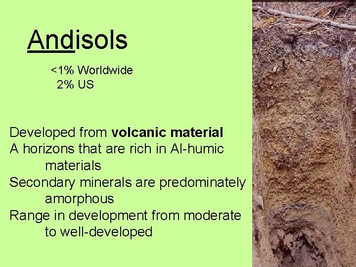 Andisols <1% Worldwide 2% US Developed from volcanic material A horizons that are rich