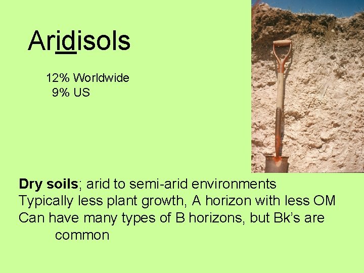 Aridisols 12% Worldwide 9% US Dry soils; arid to semi-arid environments Typically less plant