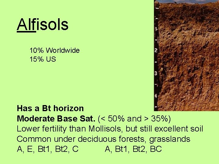 Alfisols 10% Worldwide 15% US Has a Bt horizon Moderate Base Sat. (< 50%