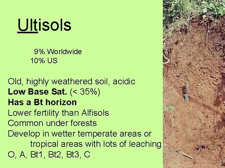Ultisols 9% Worldwide 10% US Old, highly weathered soil, acidic Low Base Sat. (<