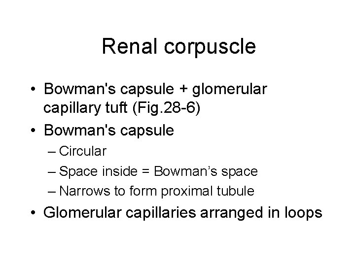 Renal corpuscle • Bowman's capsule + glomerular capillary tuft (Fig. 28 -6) • Bowman's