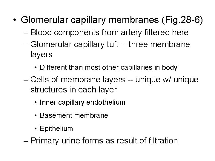  • Glomerular capillary membranes (Fig. 28 -6) – Blood components from artery filtered