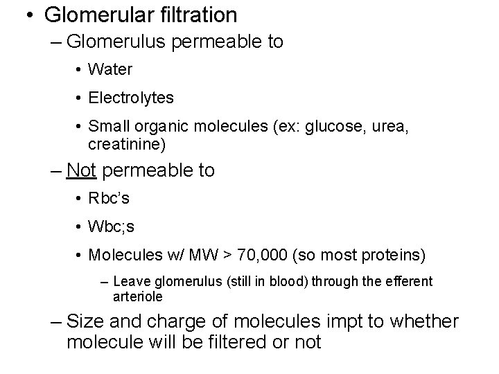  • Glomerular filtration – Glomerulus permeable to • Water • Electrolytes • Small