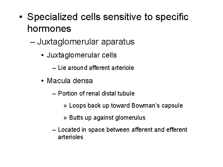  • Specialized cells sensitive to specific hormones – Juxtaglomerular aparatus • Juxtaglomerular cells