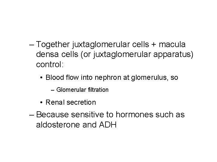– Together juxtaglomerular cells + macula densa cells (or juxtaglomerular apparatus) control: • Blood