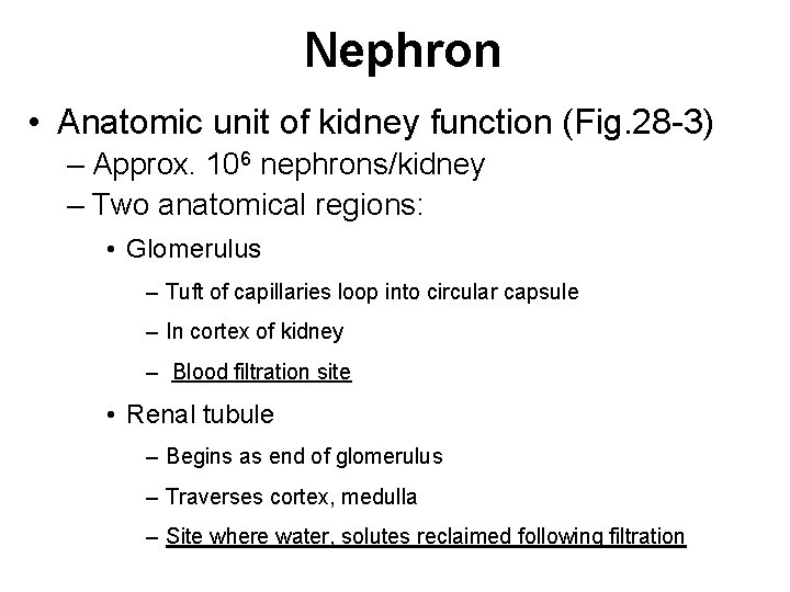 Nephron • Anatomic unit of kidney function (Fig. 28 -3) – Approx. 106 nephrons/kidney