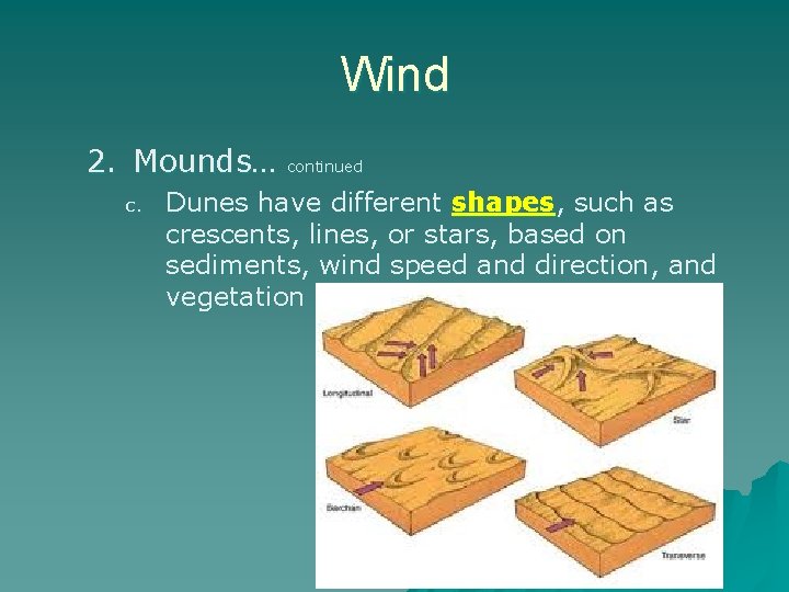 Wind 2. Mounds… c. continued Dunes have different shapes, such as crescents, lines, or