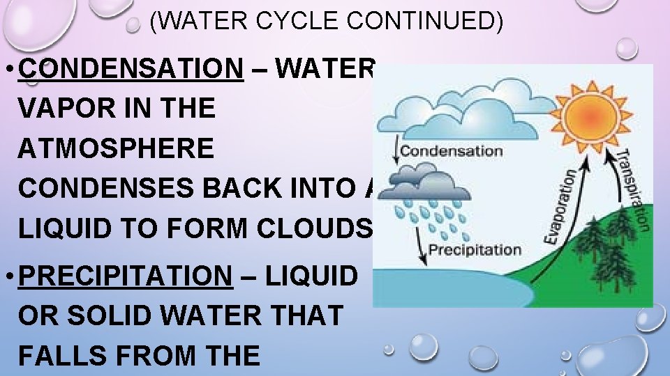 (WATER CYCLE CONTINUED) • CONDENSATION – WATER VAPOR IN THE ATMOSPHERE CONDENSES BACK INTO