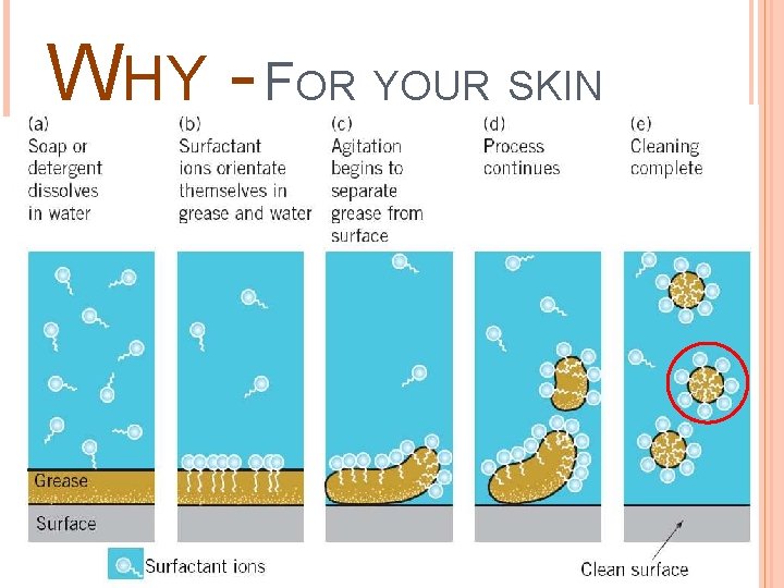 WHY - FOR YOUR SKIN 