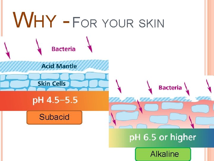 WHY - FOR YOUR SKIN Subacid Alkaline 