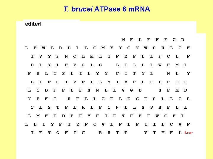 T. brucei ATPase 6 m. RNA edited editing in progress. . . pre-edited AAAAAUAAGUAUUUUGAUAUUAUUAAAGUAAAAGAGGAAUUUUGGGCGGAAGAGAAGGA