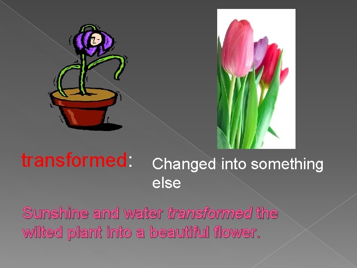 transformed: Changed into something else Sunshine and water transformed the wilted plant into a
