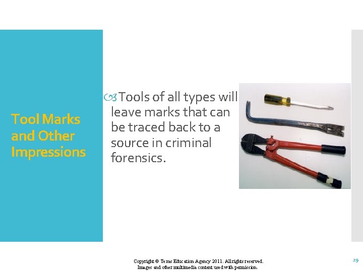 Tool Marks and Other Impressions Tools of all types will leave marks that can