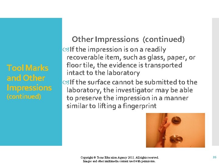 Other Impressions (continued) Tool Marks and Other Impressions (continued) If the impression is on