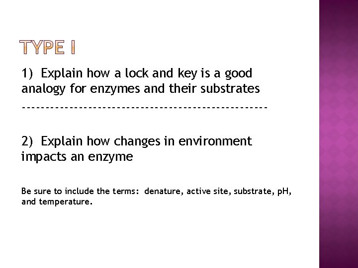 1) Explain how a lock and key is a good analogy for enzymes and