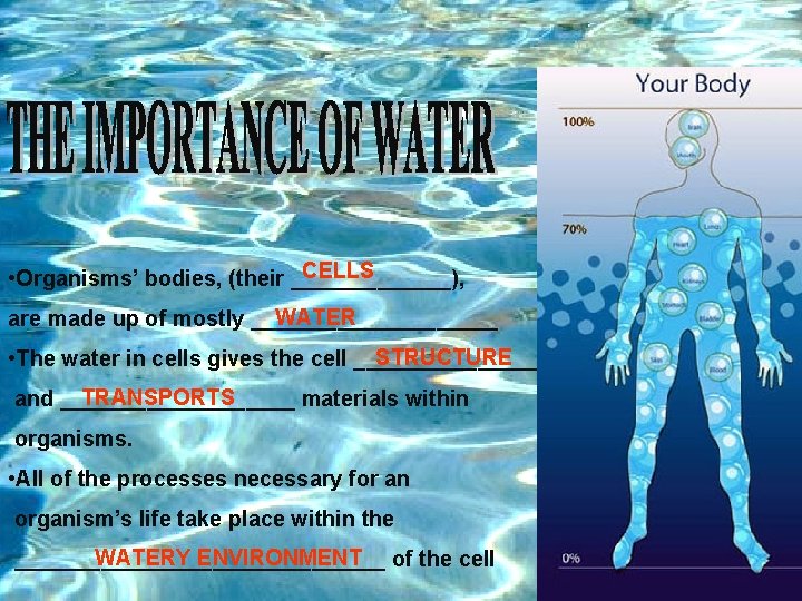 CELLS • Organisms’ bodies, (their _______), WATER are made up of mostly __________ STRUCTURE