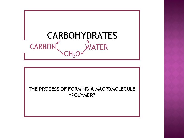 CARBOHYDRATES CARBON CH 2 O WATER THE PROCESS OF FORMING A MACROMOLECULE “POLYMER” 