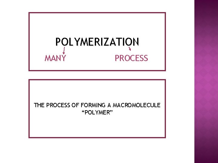 POLYMERIZATION MANY PROCESS THE PROCESS OF FORMING A MACROMOLECULE “POLYMER” 