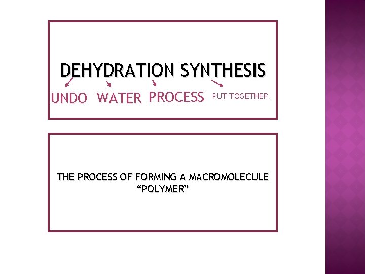 DEHYDRATION SYNTHESIS UNDO WATER PROCESS PUT TOGETHER THE PROCESS OF FORMING A MACROMOLECULE “POLYMER”