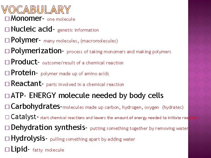 � Monomer- one molecule � Nucleic acid- genetic information � Polymer- many molecules, (macromolecules)