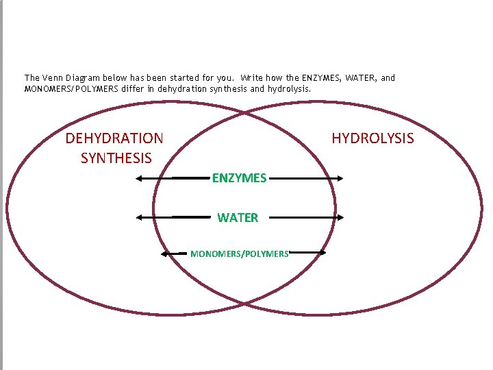 The Venn Diagram below has been started for you. Write how the ENZYMES, WATER,