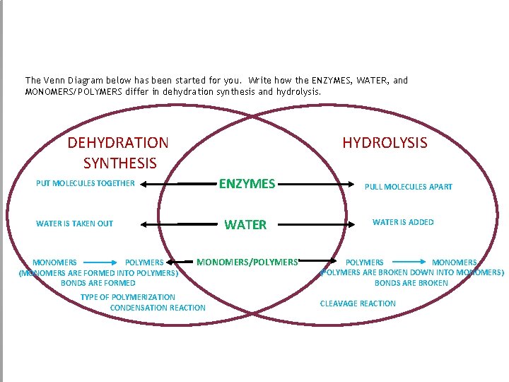 The Venn Diagram below has been started for you. Write how the ENZYMES, WATER,
