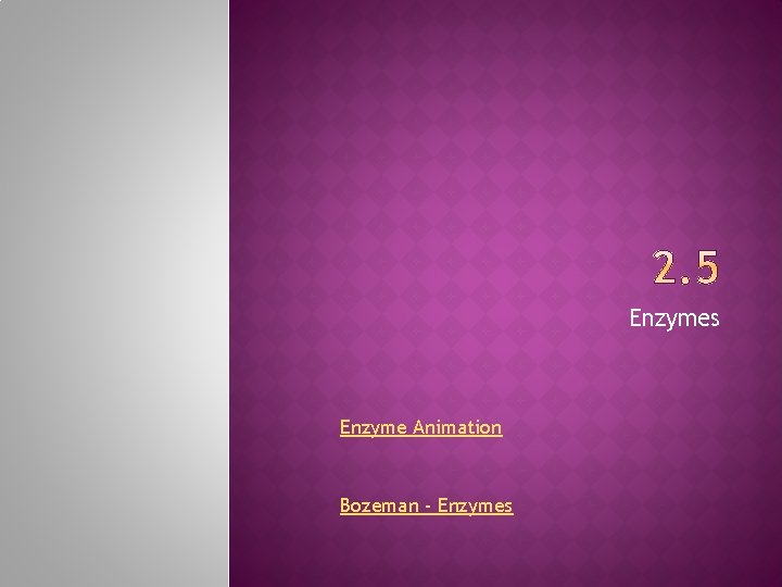 Enzymes Enzyme Animation Bozeman - Enzymes 