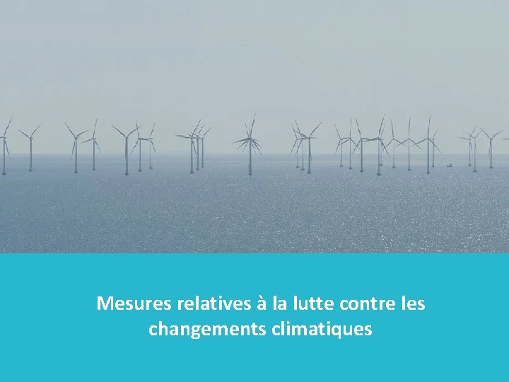 Mesures relatives à la lutte contre les changements climatiques 