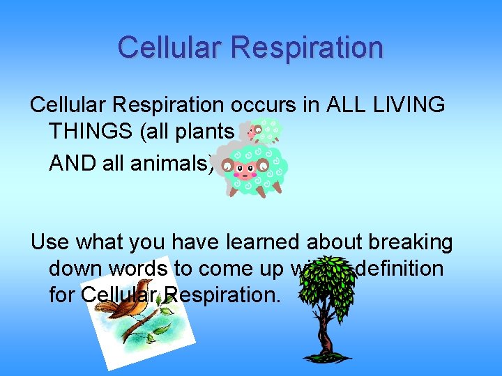 Cellular Respiration occurs in ALL LIVING THINGS (all plants AND all animals). Use what