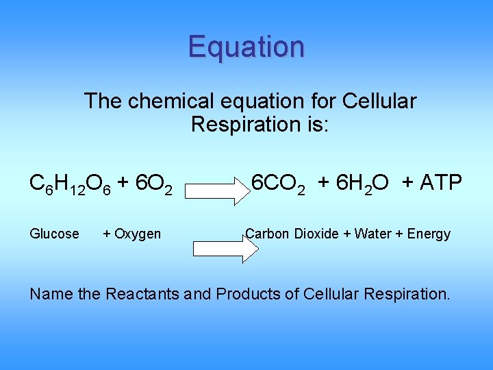Equation The chemical equation for Cellular Respiration is: C 6 H 12 O 6