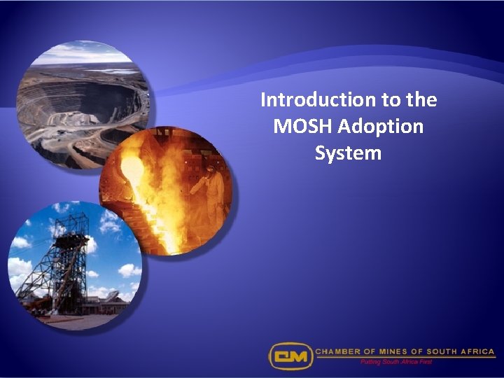 Introduction to the MOSH Adoption System 