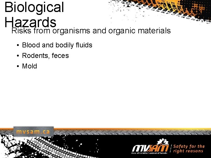 Biological Hazards Risks from organisms and organic materials • Blood and bodily fluids •