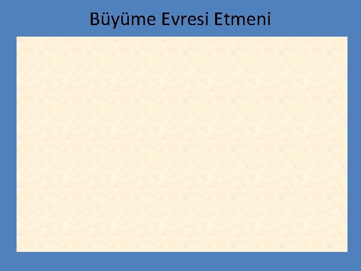 Büyüme Evresi Etmeni 