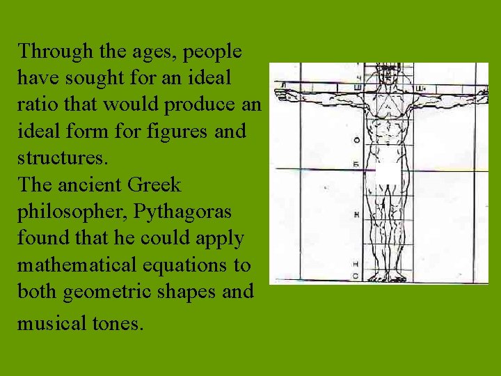 Through the ages, people have sought for an ideal ratio that would produce an