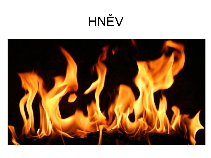 HNĚV 