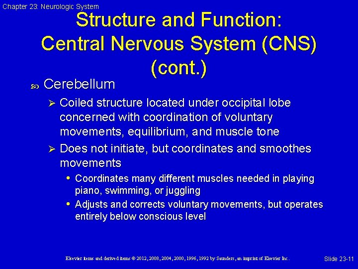 Chapter 23: Neurologic System Structure and Function: Central Nervous System (CNS) (cont. ) Cerebellum