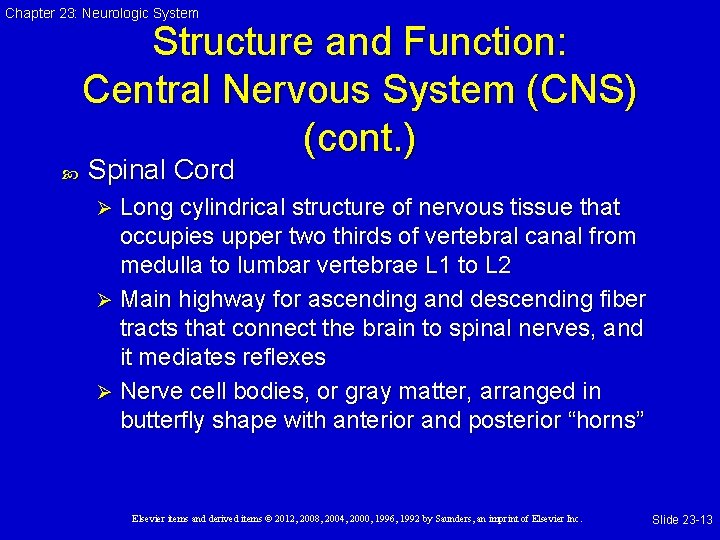 Chapter 23: Neurologic System Structure and Function: Central Nervous System (CNS) (cont. ) Spinal
