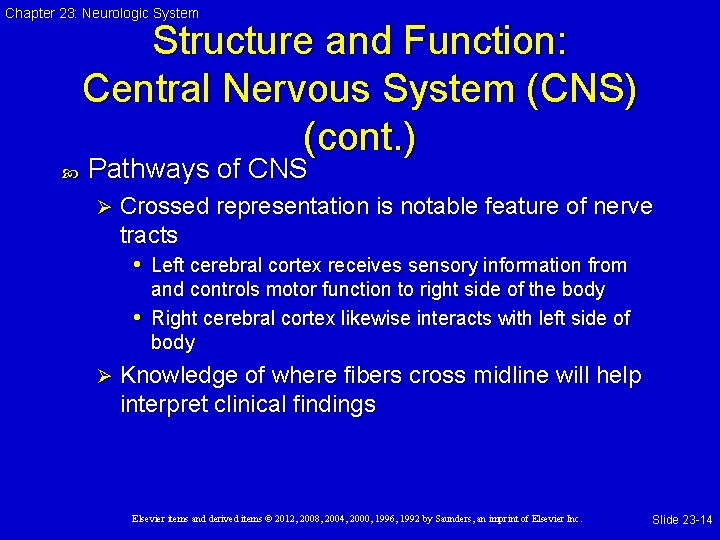 Chapter 23: Neurologic System Structure and Function: Central Nervous System (CNS) (cont. ) Pathways