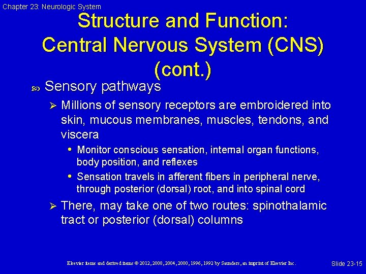 Chapter 23: Neurologic System Structure and Function: Central Nervous System (CNS) (cont. ) Sensory