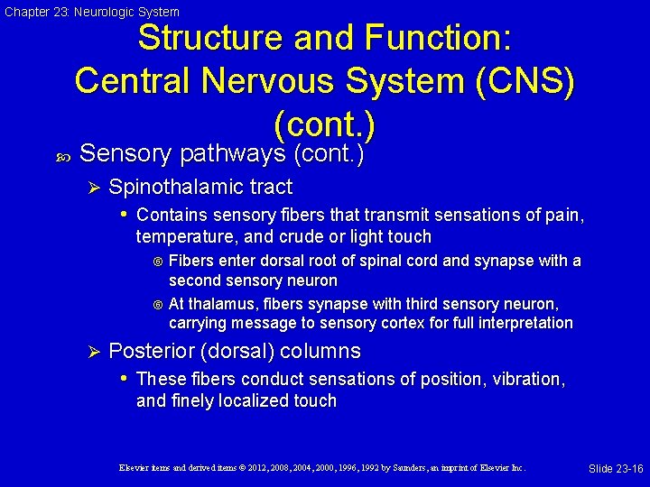 Chapter 23: Neurologic System Structure and Function: Central Nervous System (CNS) (cont. ) Sensory