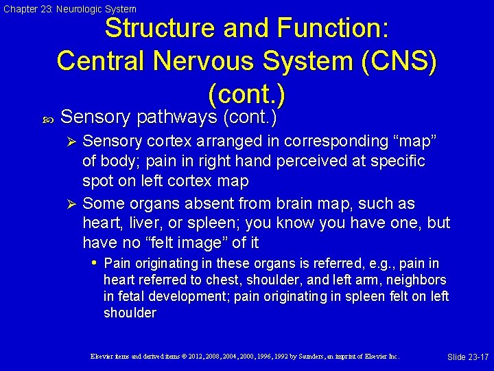 Chapter 23: Neurologic System Structure and Function: Central Nervous System (CNS) (cont. ) Sensory