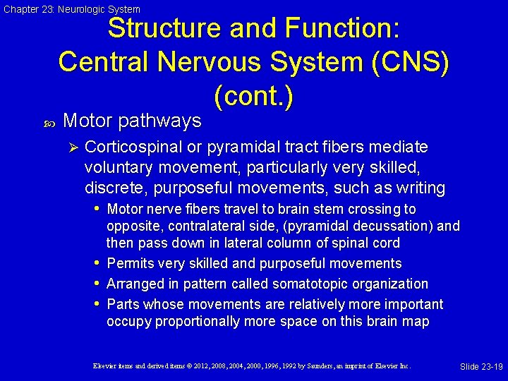 Chapter 23: Neurologic System Structure and Function: Central Nervous System (CNS) (cont. ) Motor