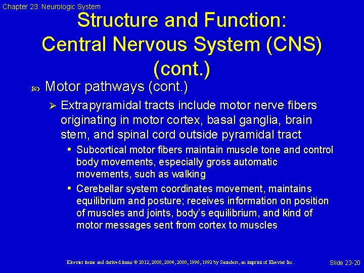 Chapter 23: Neurologic System Structure and Function: Central Nervous System (CNS) (cont. ) Motor