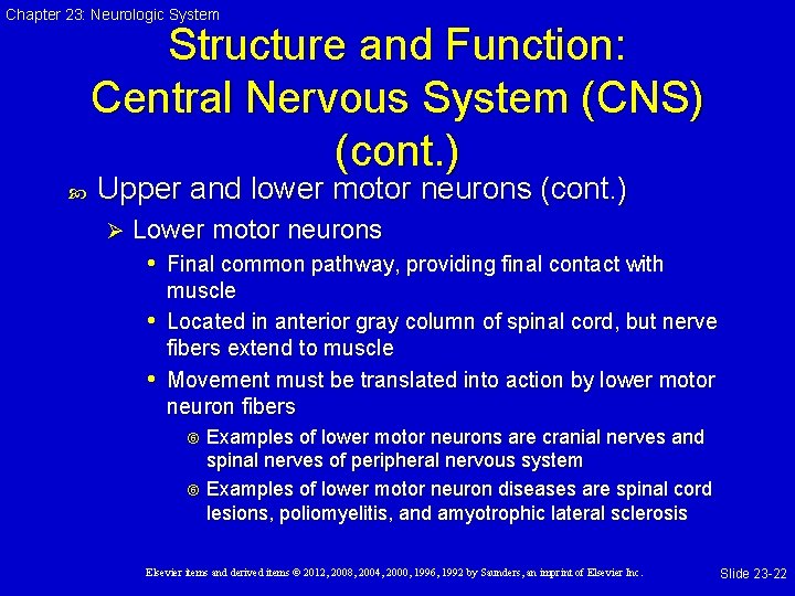 Chapter 23: Neurologic System Structure and Function: Central Nervous System (CNS) (cont. ) Upper