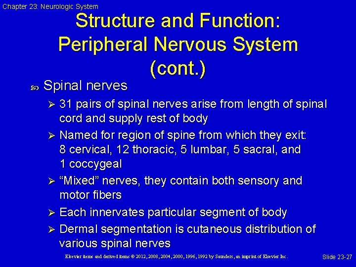 Chapter 23: Neurologic System Structure and Function: Peripheral Nervous System (cont. ) Spinal nerves
