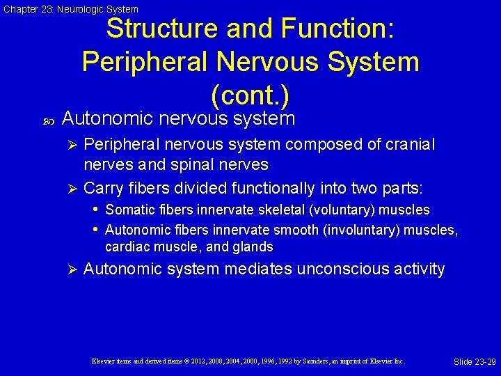 Chapter 23: Neurologic System Structure and Function: Peripheral Nervous System (cont. ) Autonomic nervous