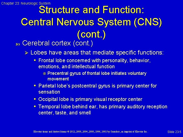 Chapter 23: Neurologic System Structure and Function: Central Nervous System (CNS) (cont. ) Cerebral